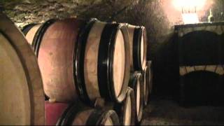 Visiting Wine Caves in Nuit St Georges Burgundy France [upl. by Mia481]