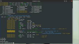 Radare2 Series 0x3  Debugging Part 1 Runtime Analysis and Binary Patching [upl. by Akihc]