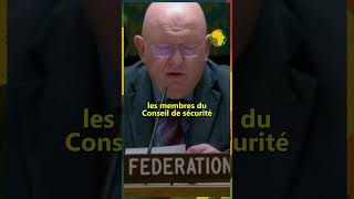 Nebenzia la déclaration dIsraël de Guterres comme persona non grata quotest une gifle à lOnuquot [upl. by Filahk]