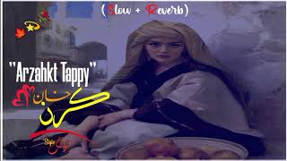 Karan Khan New Tappy  Slowed and Reverb  Pashto new slowed and reverb  Pashto song 2023 540p [upl. by Htidirrem386]