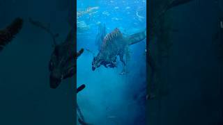 CC Spinosaurus Vs JWD Rexy Requested By Xsspinow08 jurassicworld shorts 1v1 [upl. by Ramas]