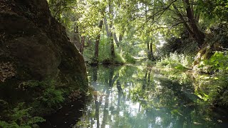 Rencontre avec des Esprits de la Nature [upl. by Clementia]