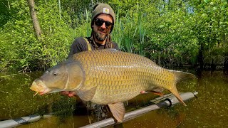 Łowisko Brzeżonko 30 karpi w 5 nocy 052023 Ponowne spotkanie z Półksiężycem 🌙 po latch 🎣 [upl. by Anerak]