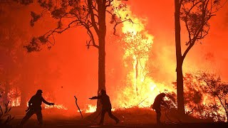 Terrifying moment crowning bushfire sets canopy ablaze in New South Wales [upl. by Aserehc]