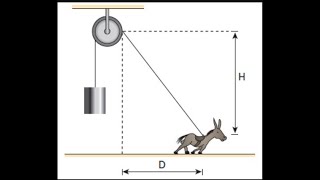 Um burro deslocandose para a direita sobre o solo plano e horizontal iça verticalmente uma carga… [upl. by Iene103]