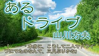 朗読『あるドライブ』山川方夫 （サラヨウコ朗読） [upl. by Allista739]