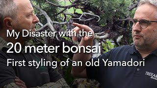 My Bonsai Disaster of a YamadoriTour in Switzerland [upl. by Ned]