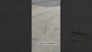 Kuta Beach Lombok [upl. by Carmita]