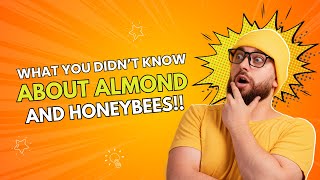 About Almonds And Honeybees Bee friendly plant ranking series [upl. by Eyahc161]