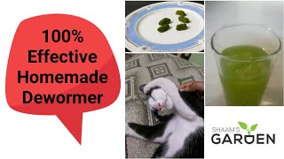 Homemade Natural Dewormer  100 Effective Dewormer  Humans amp Animals Common Deworming Medicine [upl. by Hubble871]