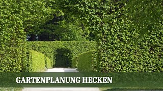 Gartenplanung Hecke  Wie finde ich meine Lieblingshecke [upl. by Levram]