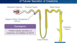 Dolutegravir Pros and Cons Are There Any Cons [upl. by Baily900]