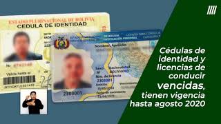 Se amplía la vigencia de la cédula de identidad y licencia de conducir hasta agosto 2020 [upl. by Ojybbob475]