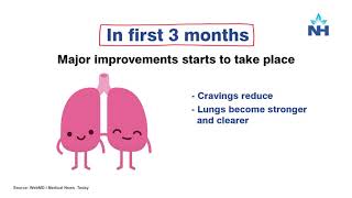 How Cigarettes Smoking Damages Lungs UrduHindi [upl. by Sansbury]