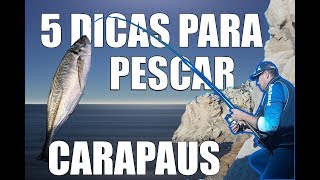 SEGREDOS DE PESCA  5 DICAS PARA A PESCA DO CARAPAU [upl. by Adnoryt226]