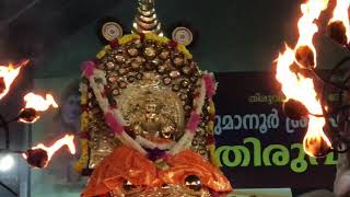 Ezhara Ponnana Ettumanoor Mahadeva Temple Kottayam 2018 [upl. by Cal]