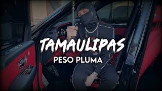 PESO PLUMA ❌ TAMAULIPAS 💀 INEDITO CORRIDOS2023 [upl. by Aseel]