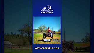 Horse Help Challenge Transformation  The Horse Guru  Michael Gascon [upl. by Brittne846]