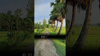 islamic trending foryou vairal2024 shorts salehin [upl. by Aham]