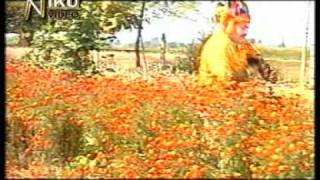 Dhar Gubu Kudu  Classic Sambalpuri Bhajan Samaleswari Bhajan [upl. by Nanfa]