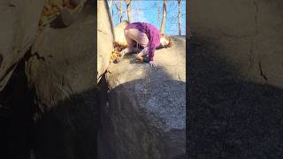 Clown Town V4  Haycock Bouldering [upl. by Zadoc]