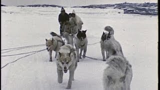 An InuitEskimo family in the Arctic 1959 [upl. by Roleat]