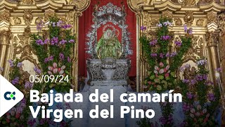 Bajada del camarín Virgen del Pino  2024 [upl. by Rosetta]