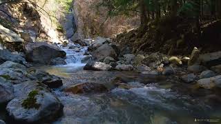 2 minutes of tranquility  Visit Sinclair Creek Falls near Radium BC Canada [upl. by Marlowe]