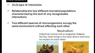 Microbial Interactions [upl. by Cyndy]