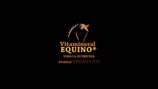 Vitamineral Equino [upl. by Hendrika]