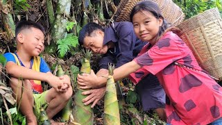 The process of harvesting bamboo shoots for processing and preservation Trangs daily life [upl. by Sibie]