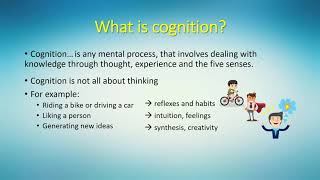 Introduction to cognition [upl. by Tse]