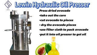 avocado oil press machine [upl. by Gnanmos]