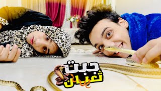 عملت مقلب في امي بتعبان حقيقي 🐍😂😂  القيصر [upl. by Etiragram865]