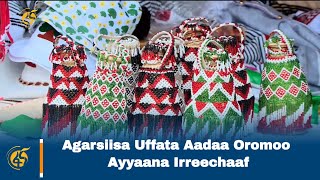 Agarsiisa Uffata Aadaa Oromoo Ayyaana Irreechaaf [upl. by Ros]