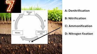 ALevel Biology 10 second quiz episode 3 [upl. by Viehmann656]