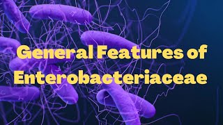 General features of Enterobacteriaceae [upl. by Airamasor]