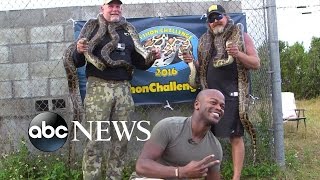 On the Hunt for Wild Burmese Pythons in Florida [upl. by Novahs]