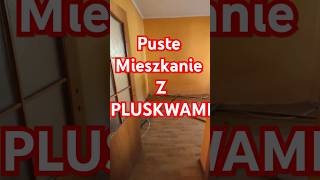 Puste mieszkanie a pluskwy dalej są mgr Łukasz Bula  Zwalczanie Pluskiew [upl. by Marchall]