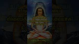 Sri Mahavtar Babaji Quotes and Mantra in Tamil mahavtarbabaji babaji kriyayoga [upl. by Shanleigh]