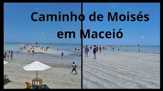 CAMINHO DE MOISÉS em Maceió Vale a penapraia Maceió viagem travel [upl. by Marijo]