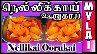 நெல்லிக்காய் ஊறுகாய்  Nellikai Oorugai  Amla Pickle recipe in Tamil  MYLAI Samayal [upl. by Osugi]