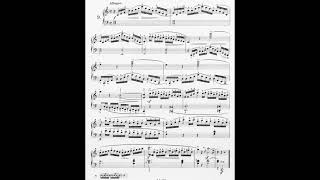 some obscured Aloys Schmitts etudes [upl. by Gil611]