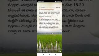 natural pesticides Shorts Short Viral TeluguAUTOnews Telugu reels [upl. by Zorah]