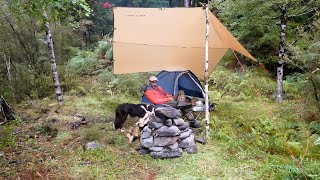 Camping in Rain with my Dog in Ultralight Tent [upl. by Yblok]