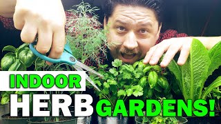 Indoor Herb Gardens  The Definitive Guide For Beginners [upl. by Ynohtnaeoj292]