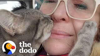 Clingy Cat Goes Everywhere With Mom  The Dodo [upl. by Yevad480]