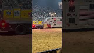 The one arm bandit John Payne  the 2024 Dixie National Rodeo rodeo horse [upl. by Vivien]