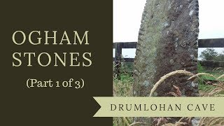 Ogham Stones  the Ancient Irish Alphabet at Drumlohan Cave Part 1 of 3 [upl. by Harness]