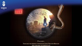 Fantastic Beasts and Where to Find Them Official Soundtrack  Vinyl Disc Animated Video  WaterTower [upl. by Anailuig]